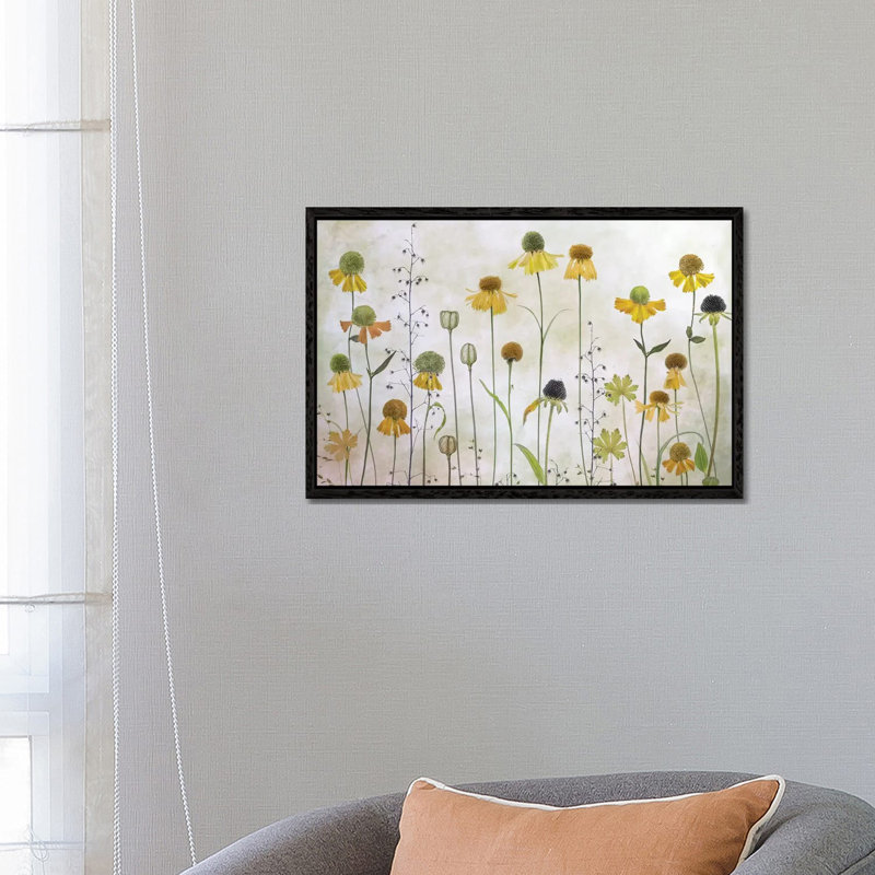 Helenium by Mandy Disher - Print on Canvas, Black Framed, 45.72cm H x 66.04cm W x 3.81cm D