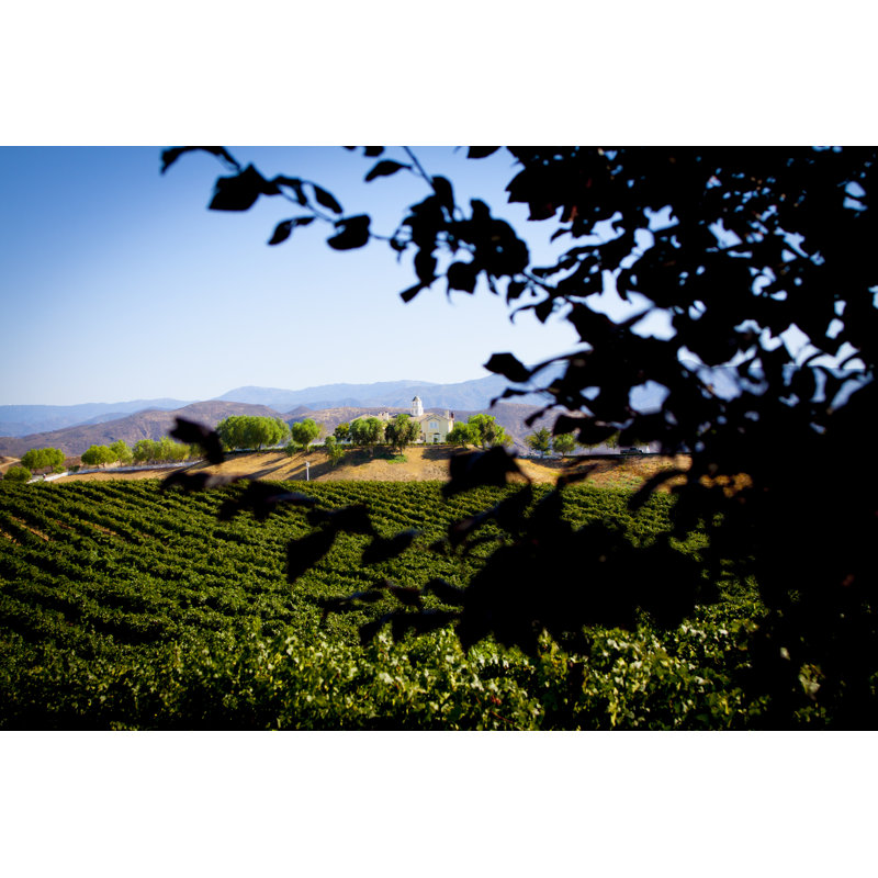 Temecula Wine Country Landscape - Photographie sur toile tendue, H 32 po x l 48 po