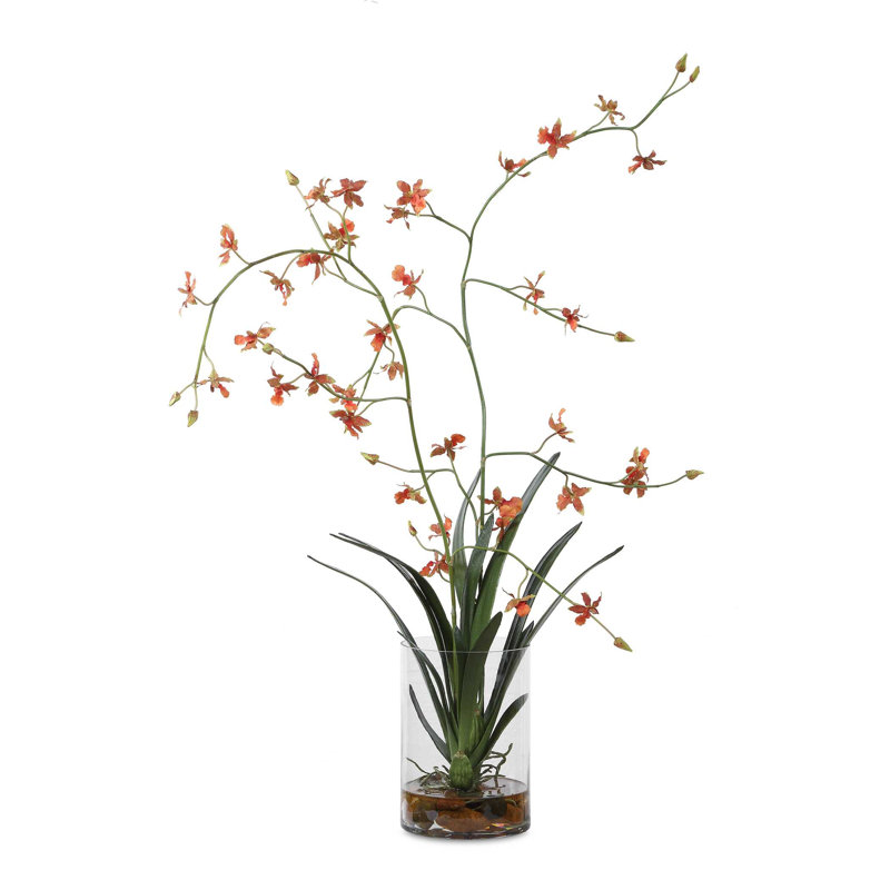 Orchidée dansante dans un vase en verre