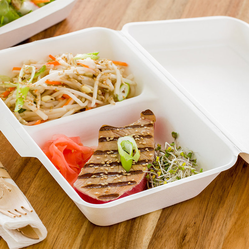 Pulp Tek Plastic Disposable Tableware