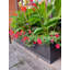 Handmade Window Box Planter-14486191