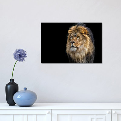 Majestic by David Gardiner - Wrapped Canvas Print
