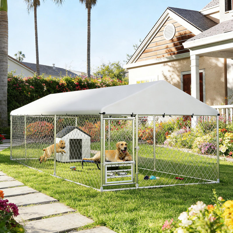 Outdoor Dog Kennel