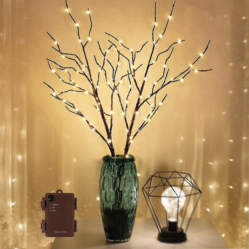 Ensemble de 30 branches de brindilles brunes 30 lumières à DEL blanc chaud avec minuterie