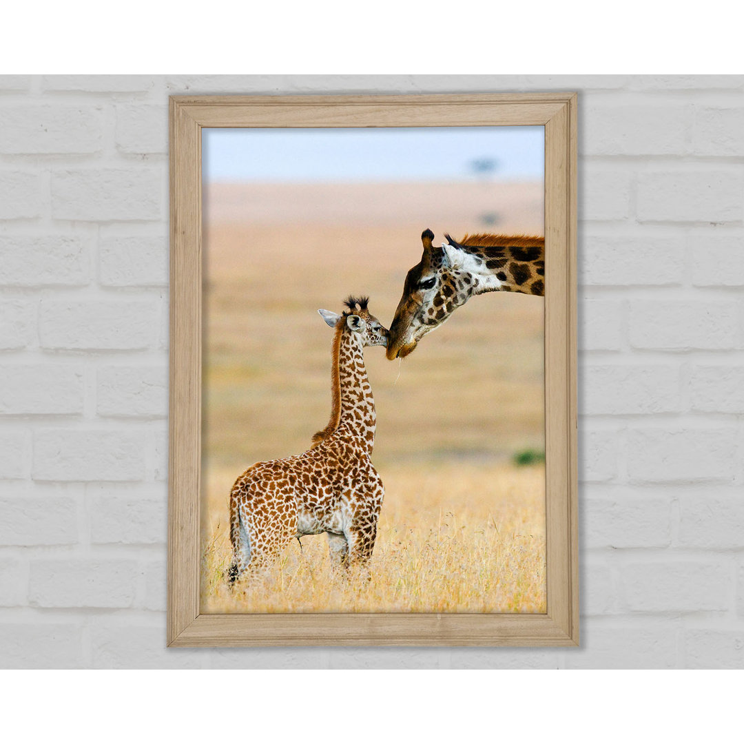 Baby Giraffe Liebe Gerahmter Druck