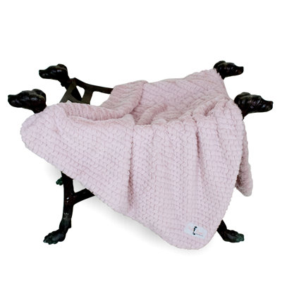 Paris Pet Blanket