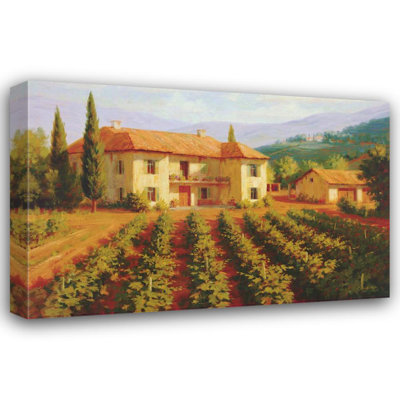 Tuscan Vineyard