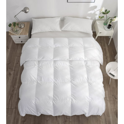Édredon en duvet d'oie 650