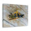 Wall Art on Canvas-1385452539