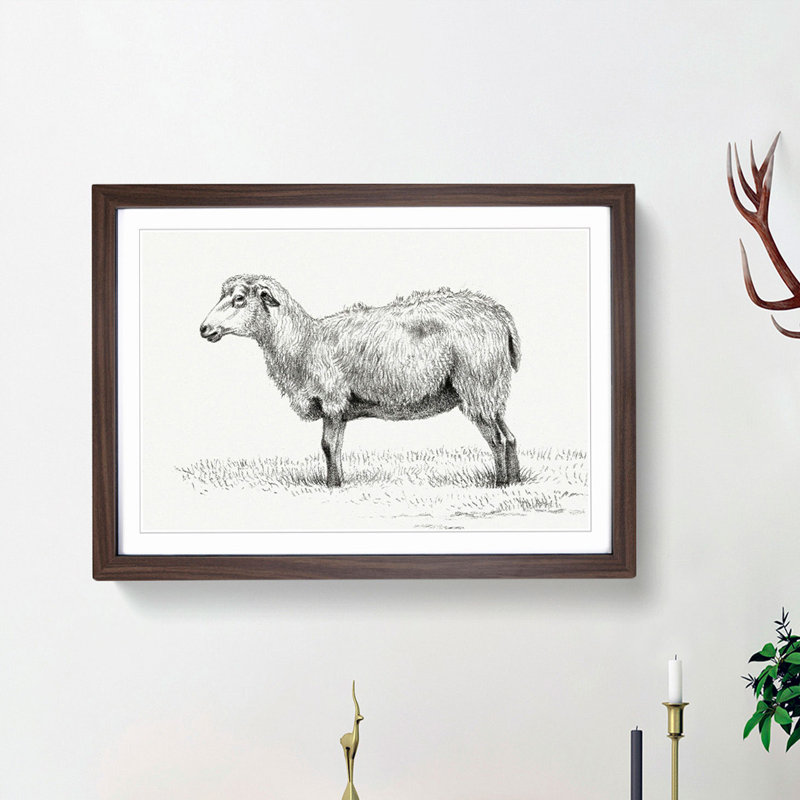 Standing Sheep by Jean Bernard - Picture Frame Art Print, 36cm H x 48cm W x 2cm D, Walnut Framed