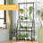 Metal 3 Tiered Hanging Plant Shelf