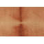 Tapis rouge Coral