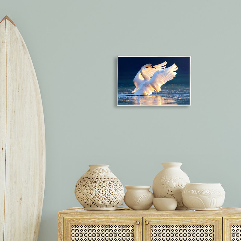 «Sunset Symphony Swan» par Shane Lamb, H 10 po x l 15 po