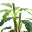 158.5cm Artificial Banana Leaf Tree in Pot