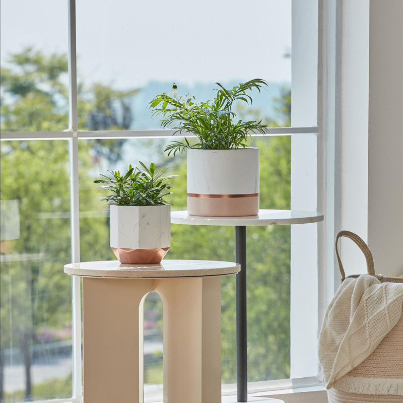 Chanko Ceramic Pot Planter, Pink