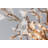 Lily 6 Light Chandelier