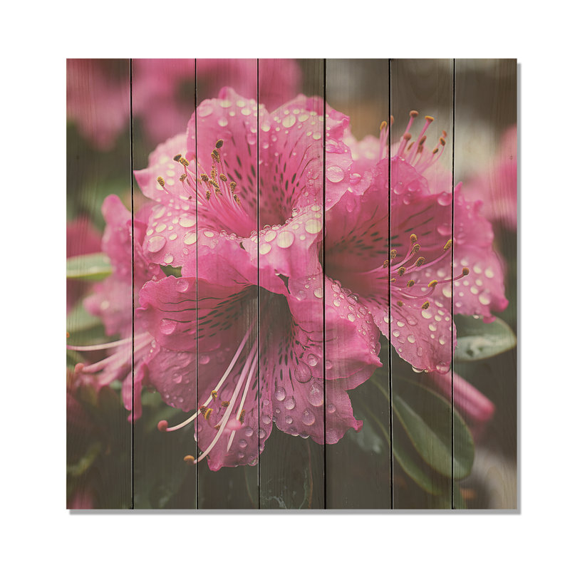 Beauté des rhododendrons mauves - Rhododendron sur bois, H 30 po x l 30 po