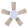 Tavontae 24'' Ceiling Fan with LED Lights