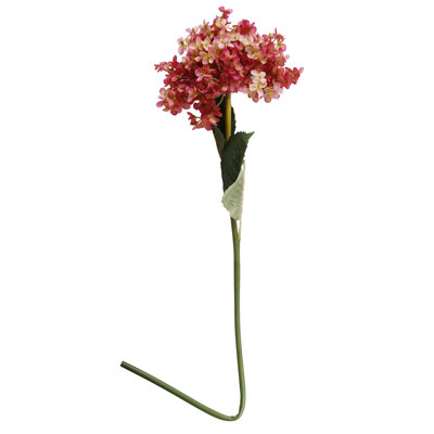 Tige hortensia Henrietta