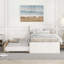 Cadre de lit simple avec lit gigogne simple-121082702