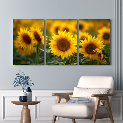 Ensemble de 3 tableaux sur toile représentant un champ de tournesols, pour la décoration du salon, de la chambre et de la maison.