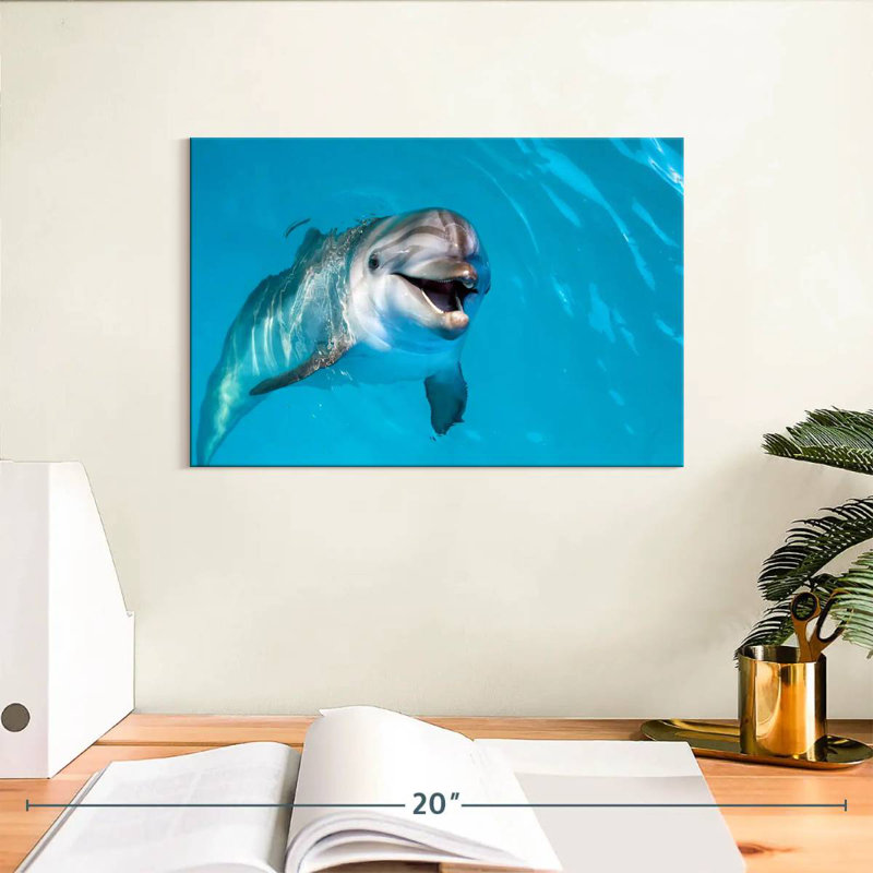 Brampt Dolphin's Smile, H 8 po x l 12 po