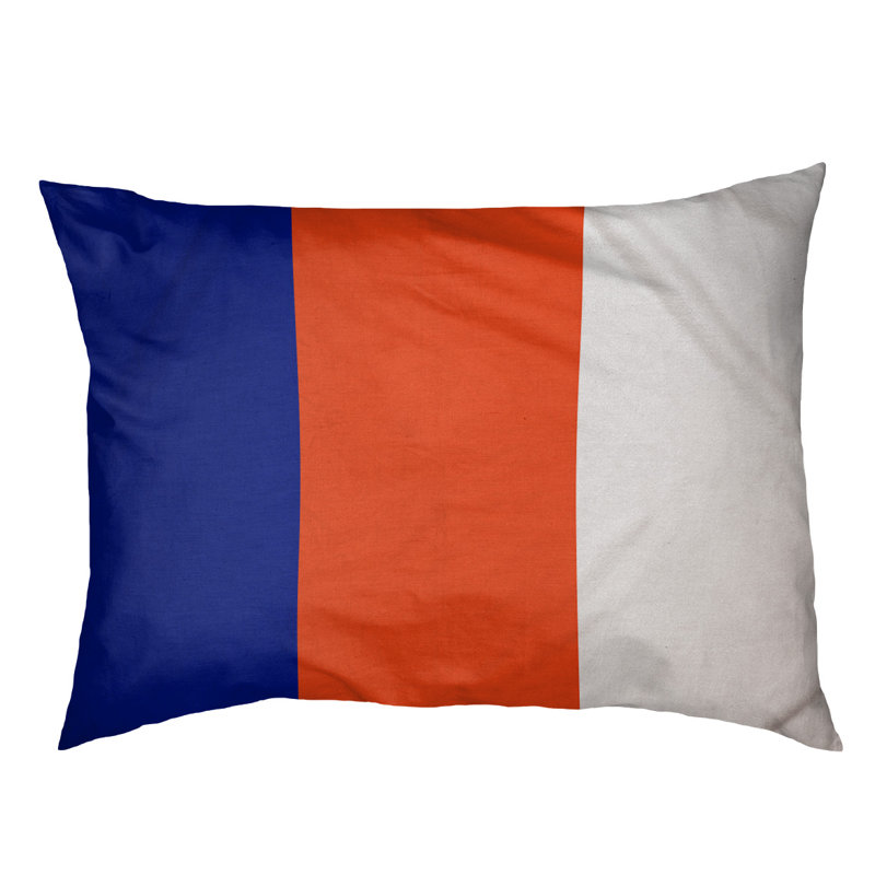 Coussin pour chien Indiana, Très grand (l 50 po x P 40 po x H 17 po), Bleu / orange / argent