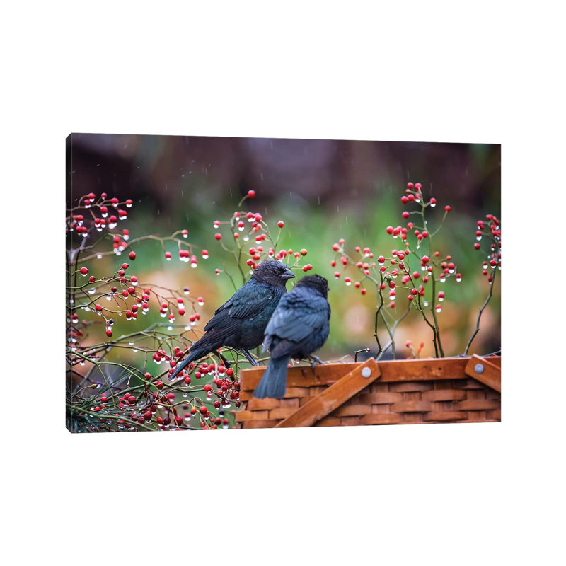 Cow Birds In The Rain by Karen Burke - Wrapped Canvas Print, 66.04 cm H x 45.72 cm W