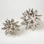 Urchin Shiny Silver Object-1635266304