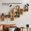 Umbra Montage Wall Shelf-74680111