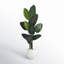63'' Faux Banana Leaf Tree in Fiber Clay Planter
