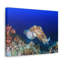 Chasse de seiche sur un récif de corail, art mural animal-56000597