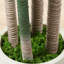 Ruxin Faux Tree-646797457
