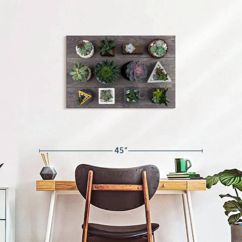 Harnek Assorted Succulents, 20" H x 30" W