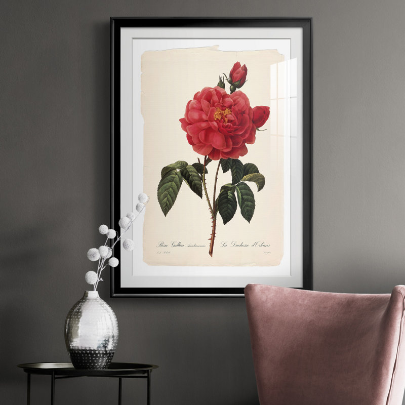 Red Botanical III - cadre photo, impression, H 26,5 po x l 36,5 po x P 1,5 po, Noir
