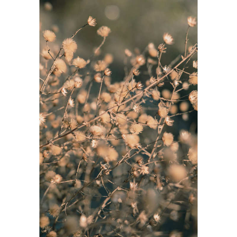 Wrapped Canvas Print, 50.8 cm H x 76.2 cm W