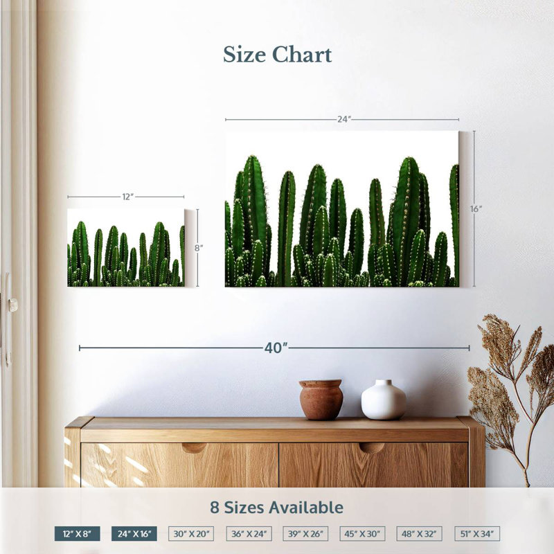 Harnek cactus, H 16 po x l 24 po