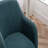 Green Modern Teddy Fabric Office Chair, Adjustable Height 360 Revolving Home Office Chair, With Gold Metal Legs And Universal Wheel For Indoor-1009720852