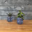Planches murales en bois récupéré Timberchic River - Application simple de revêtement mural auto-adhésif pour le bricolage - Décoration murale moderne et haut de gamme-106004271-51241963