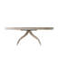 Composition Oval Mahogany Wood Dining Table
