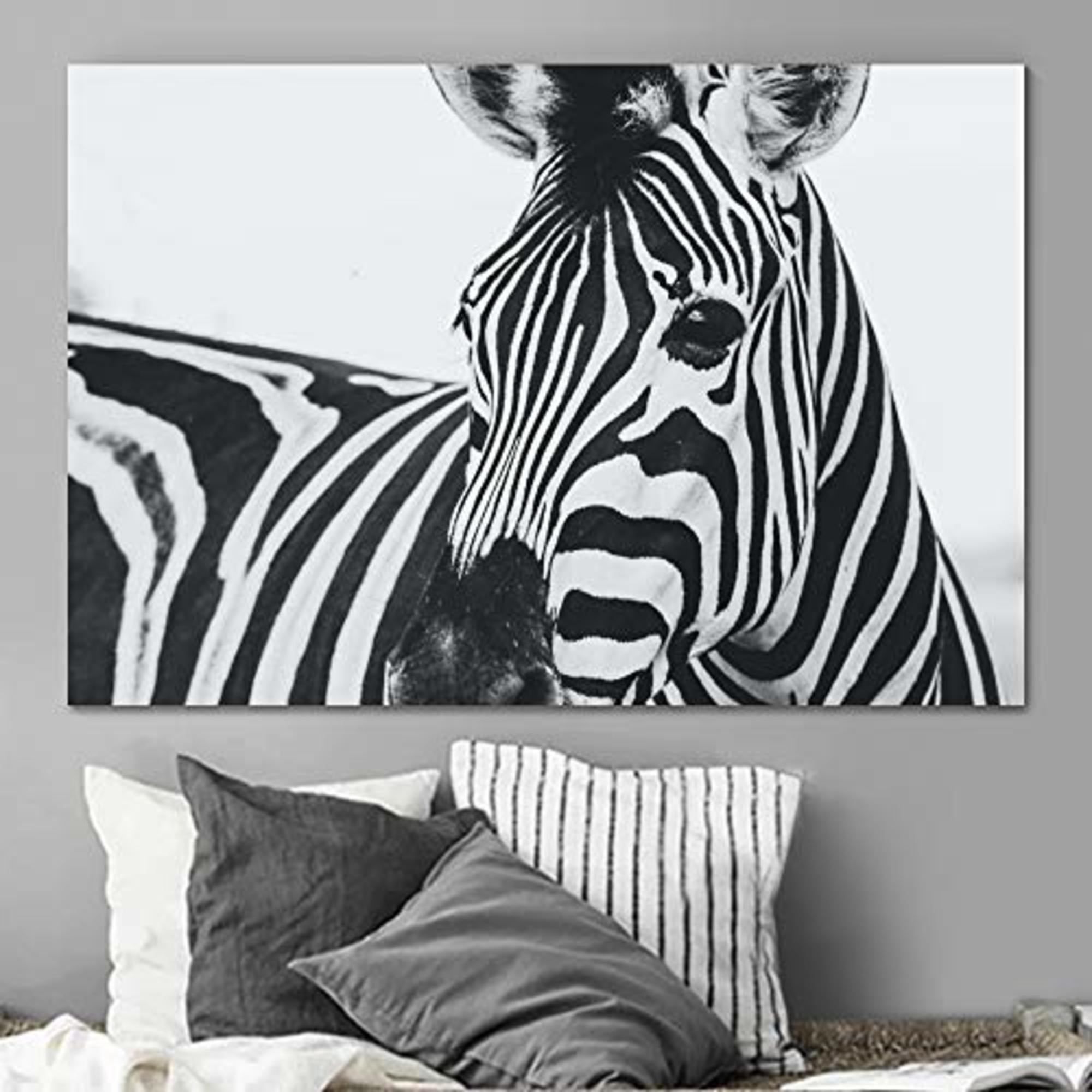 SIGNLEADER Zebra Wall Art For Home Office Black And White Zebra Canvas ...