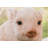 Chubby Piglet Sitting Statue
