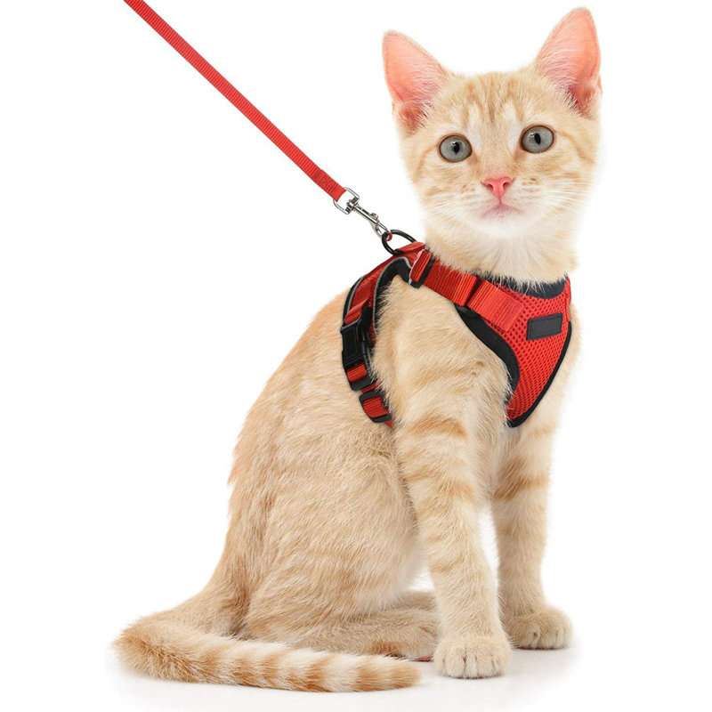 Harnais pour chat doux et respirant, 17,72 po x 11,42 po, rouge, Rouge