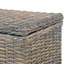 Zayac Wicker Trunk