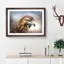 Hawk - Picture Frame Painting Print-56712031-56712034