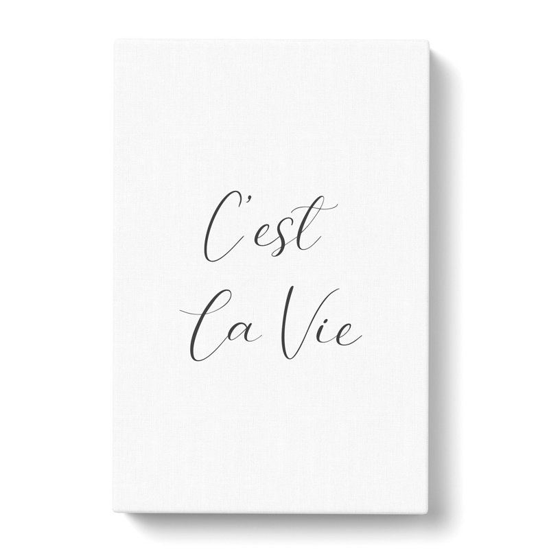 CEst La Vie - Wrapped Canvas, 91cm H x 60cm W x 3cm D