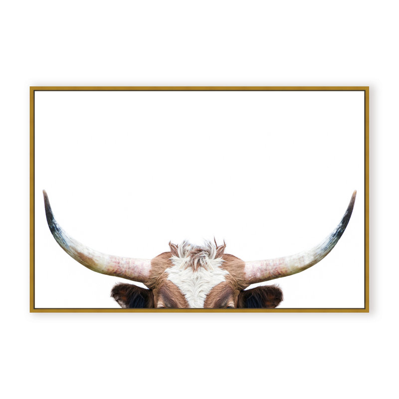Nature Inspired Peeking Longhorn Cow by  - Picture Frame Photograph on Paper, 32" H x 48" W x 1.125" D, Framed Print, Brown