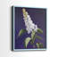 FLORAL Series CCXVII - Reproduction encadrée de qualité supérieure - prête à être accrochée - aucun clou requis - aucun clou requis-107998715-107998714