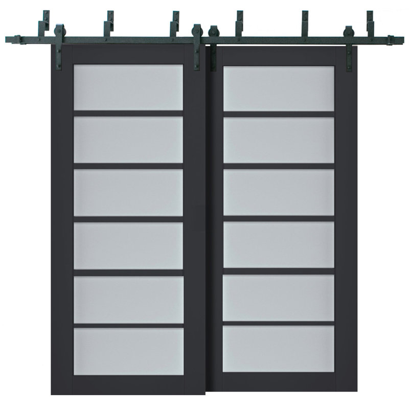 Portes de placard Veregio, 79,5 po x 17 po, Antracite