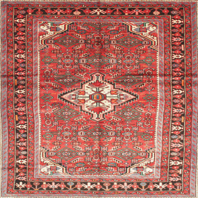 Oriental Indoor Rug